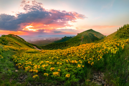 Source: http://ponderation.tumblr.com