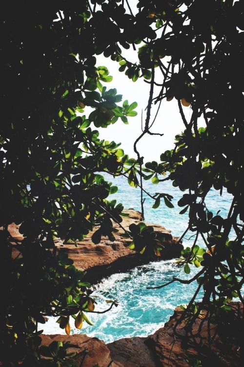 Source: http://a-fricaa.tumblr.com