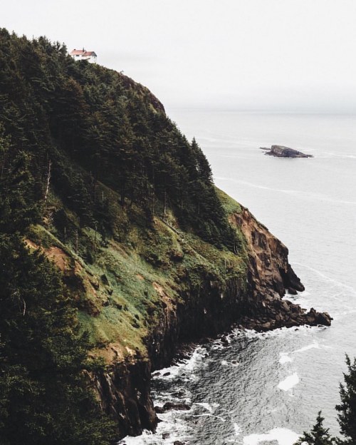 Source: http://shambholic.tumblr.com