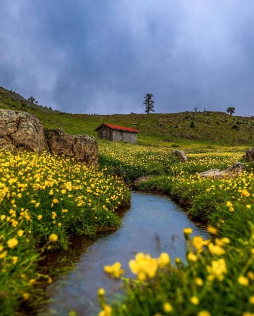 Source: http://gemsofgreece.tumblr.com