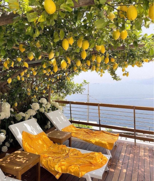 Source: http://luvinportofino.tumblr.com