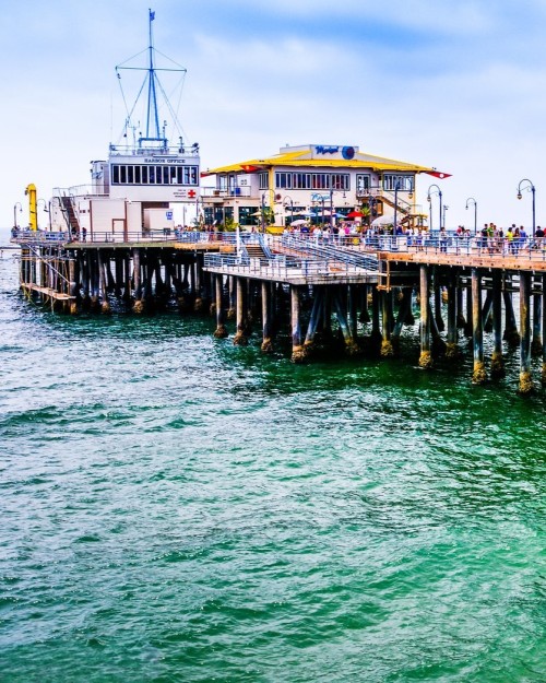 Source: http://hopefulkidshark.tumblr.com