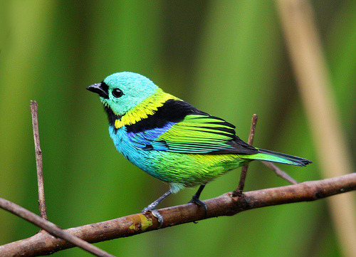 Source: http://tropic-havens.tumblr.com