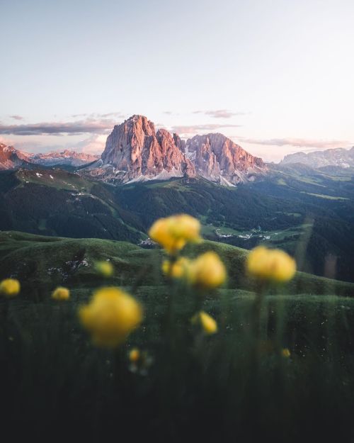 Source: http://european-euphoria.tumblr.com