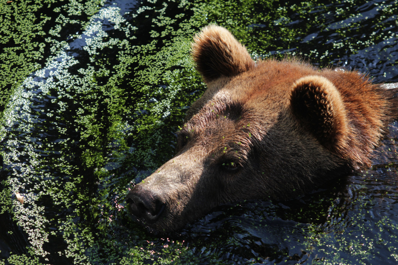 Source: http://losttindxmoon.tumblr.com