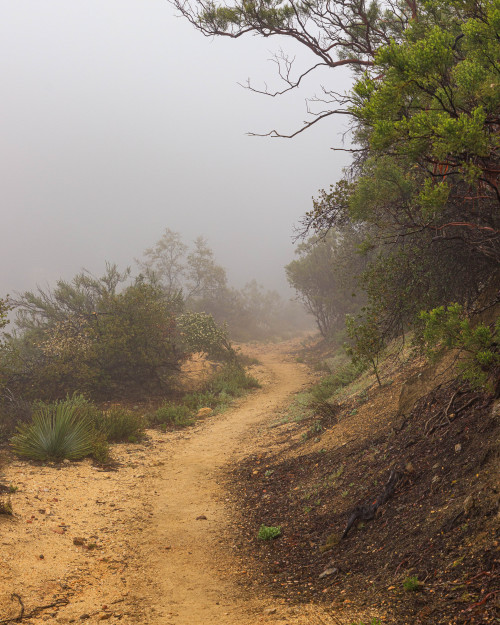 Source: http://j-k-i-ng.tumblr.com