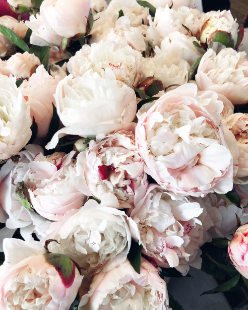 Source: http://icharous.tumblr.com