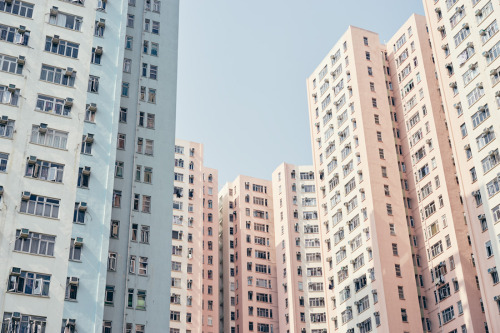 Source: http://shambholic.tumblr.com