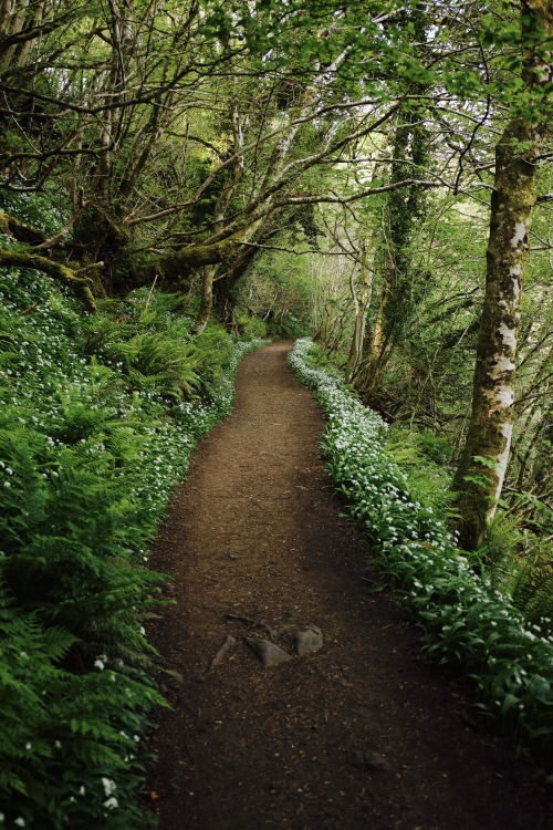 Source: http://kylebonallo.tumblr.com