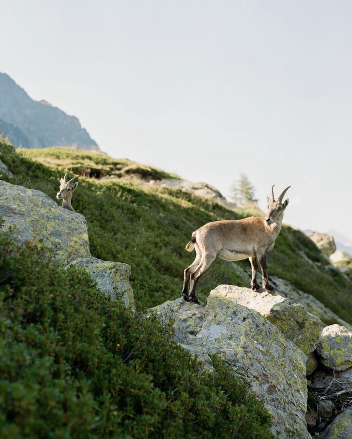 Source: http://therealbohemian.tumblr.com