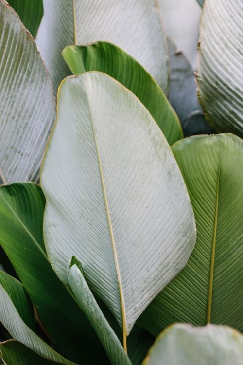 Source: http://shambholic.tumblr.com