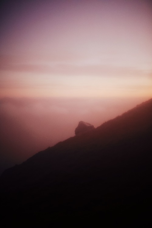 Source: http://kylebonallo.tumblr.com