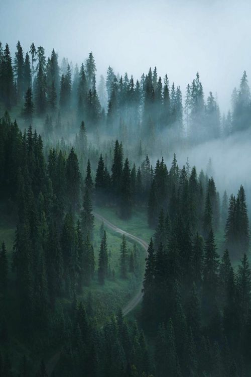 Source: http://european-euphoria.tumblr.com