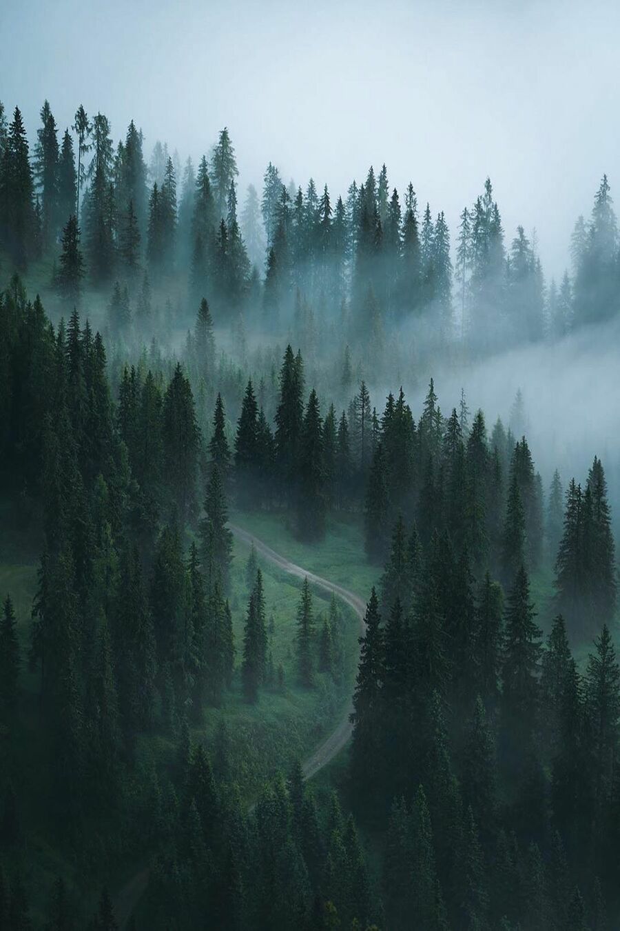 Source: http://european-euphoria.tumblr.com