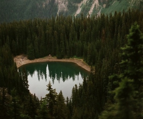 Source: http://shambholic.tumblr.com