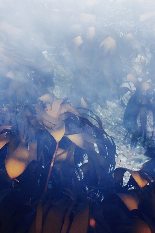 Source: http://kylebonallo.tumblr.com