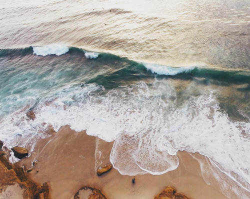 Source: http://shambholic.tumblr.com