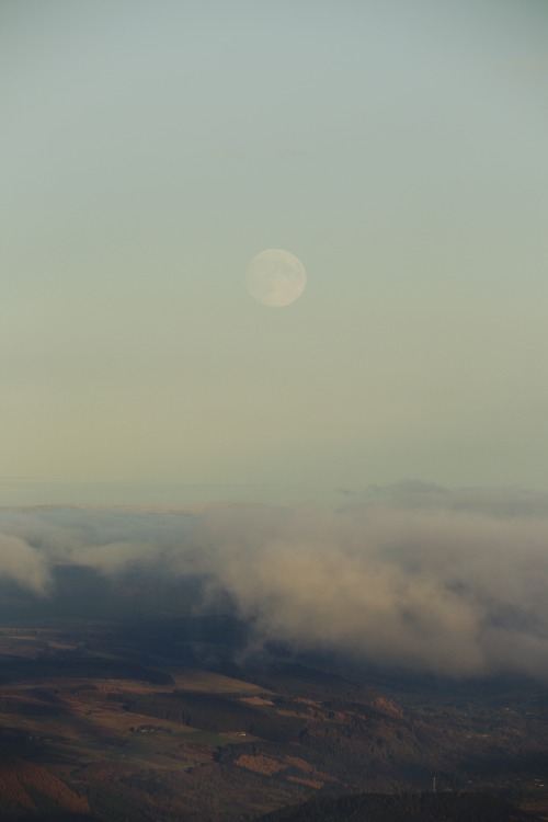 Source: http://kylebonallo.tumblr.com