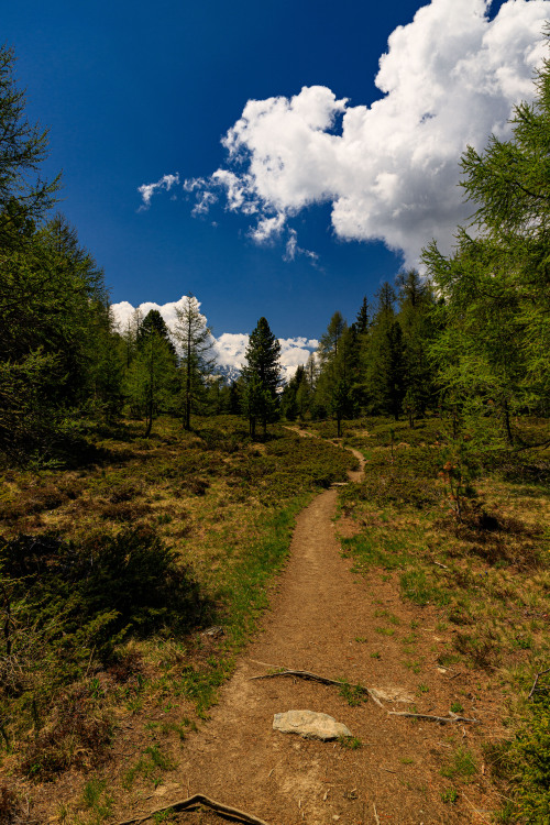 Source: http://nature-hiking.tumblr.com