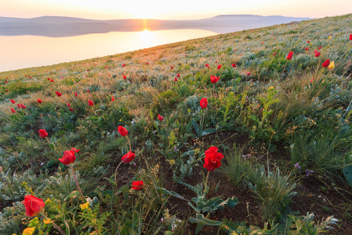 Source: http://expressions-of-nature.tumblr.com