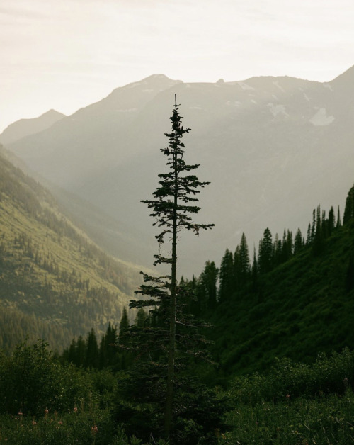 Source: http://losttindxmoon.tumblr.com