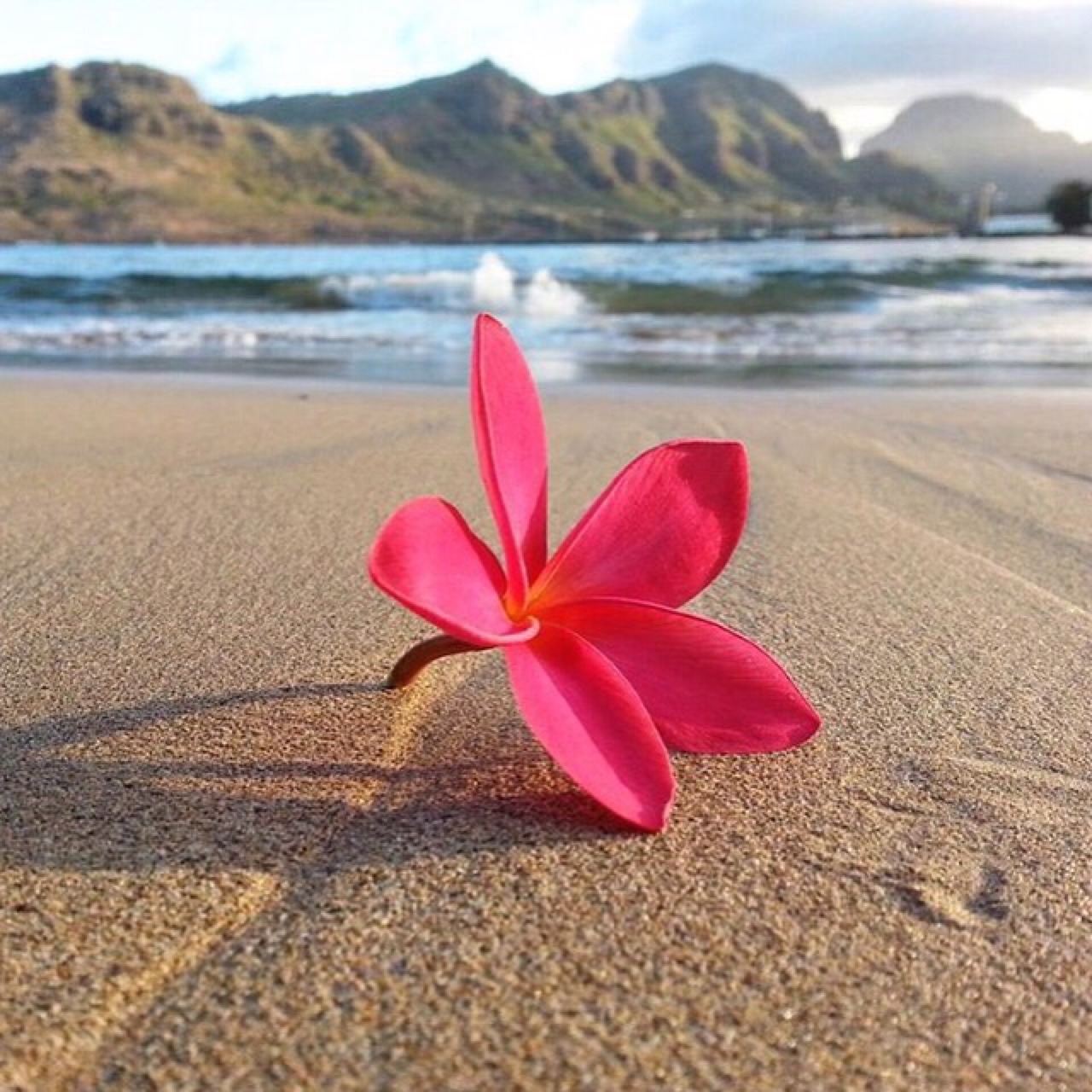 Source: http://tropic-havens.tumblr.com