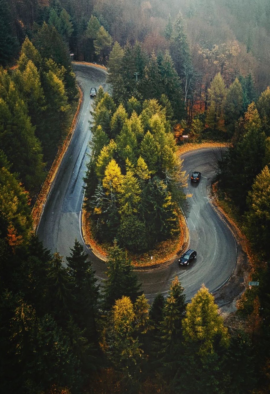 Source: http://hiddenromania.tumblr.com