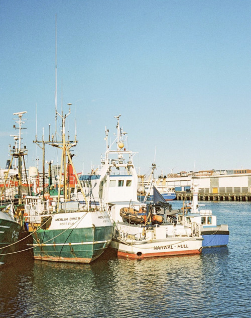 Source: http://saltyocean.tumblr.com