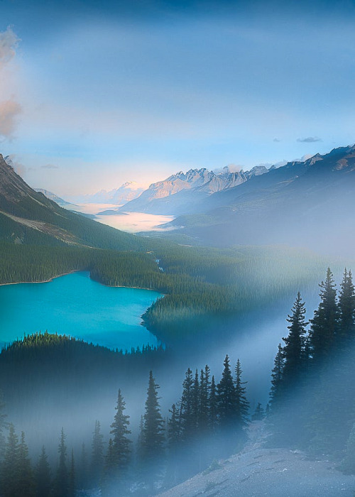 Source: http://coiour-my-world.tumblr.com