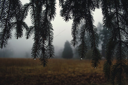 Source: http://deletingmyself.tumblr.com