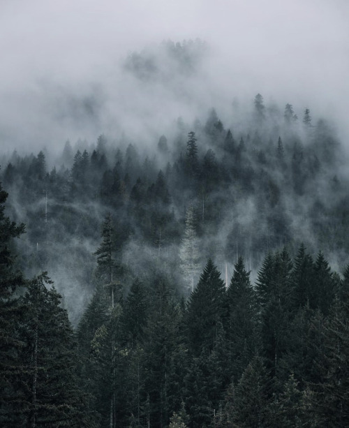 Source: http://whanderlost.tumblr.com