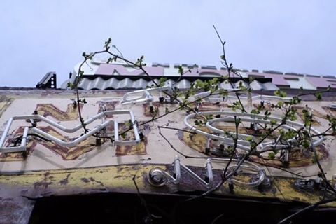 Source: http://dispelzine.tumblr.com