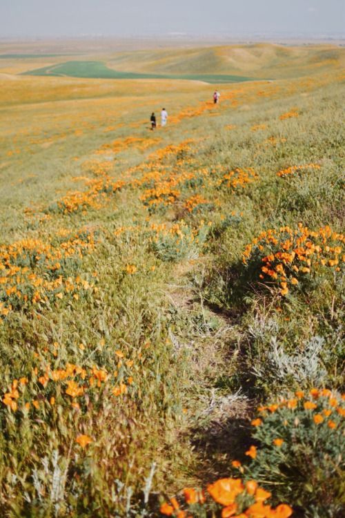 Source: http://solar-bar.tumblr.com