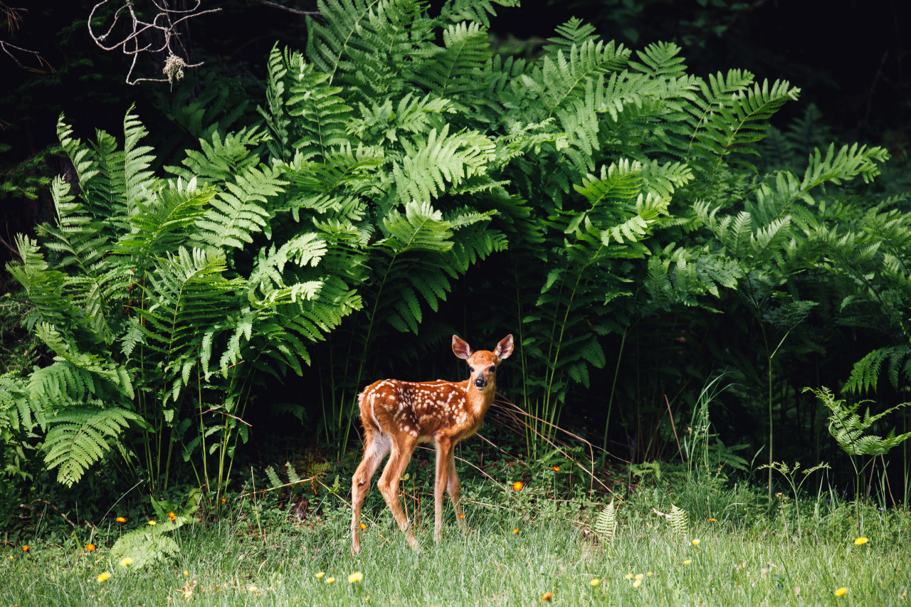 Source: http://faeriegardens.tumblr.com