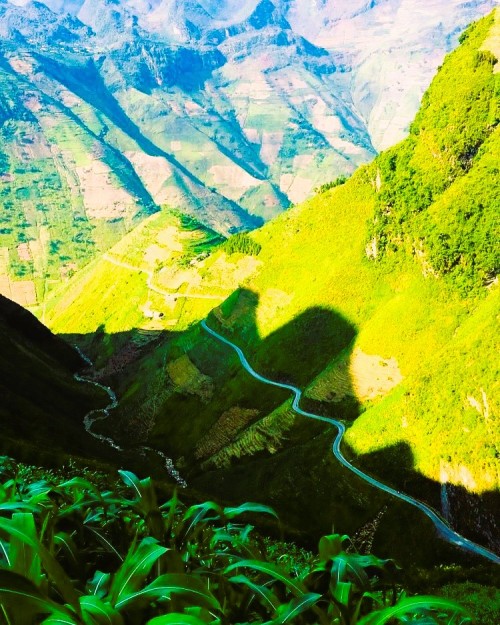 Source: http://coolvietnamlove.tumblr.com