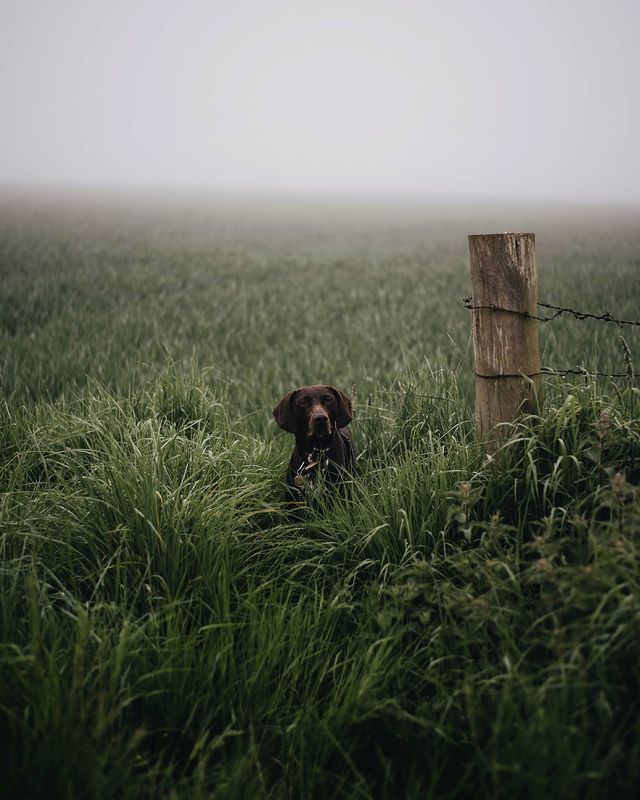 Source: http://losttindxmoon.tumblr.com