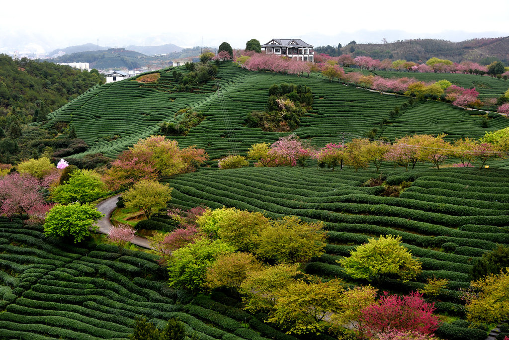 Source: http://solar-bar.tumblr.com