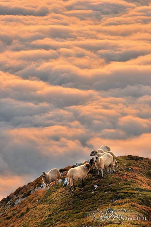 Source: http://etherealvistas.tumblr.com