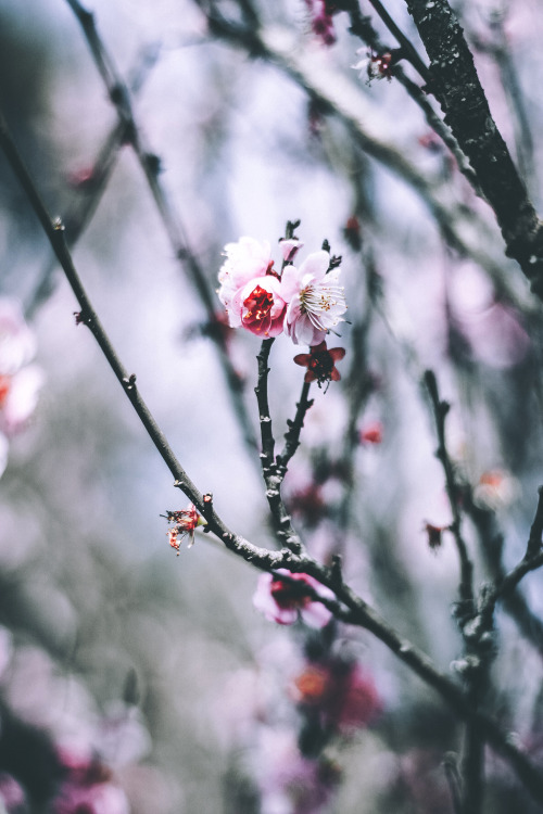 Source: http://j-k-i-ng.tumblr.com