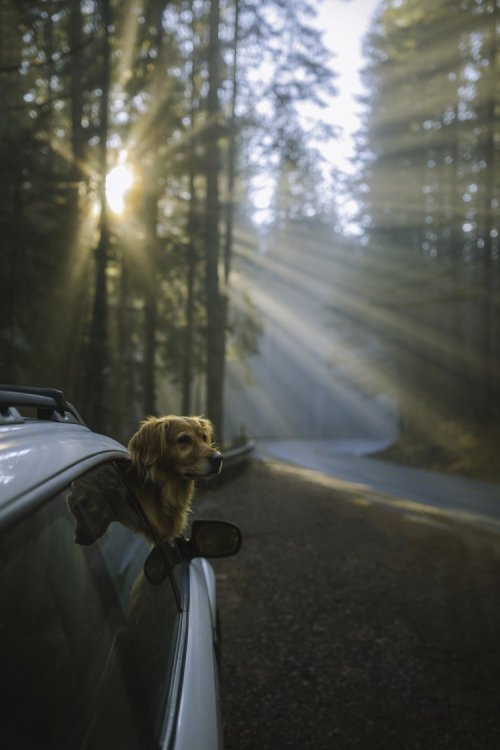 Source: http://deletingmyself.tumblr.com