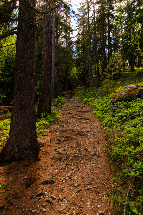 Source: http://nature-hiking.tumblr.com