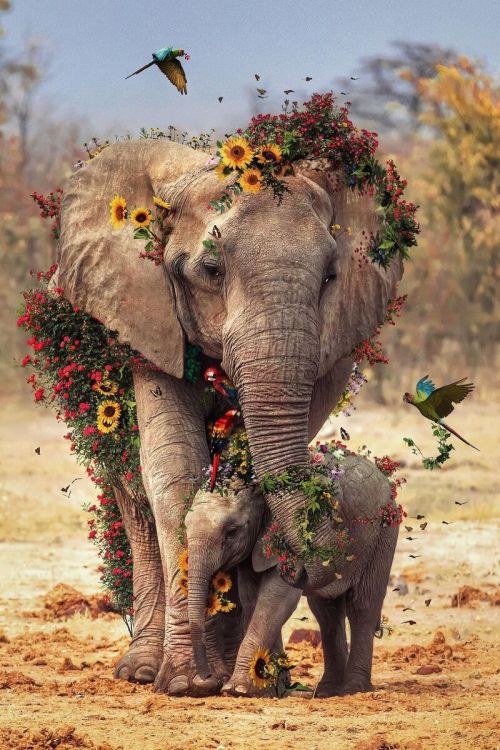 Source: http://j-k-i-ng.tumblr.com