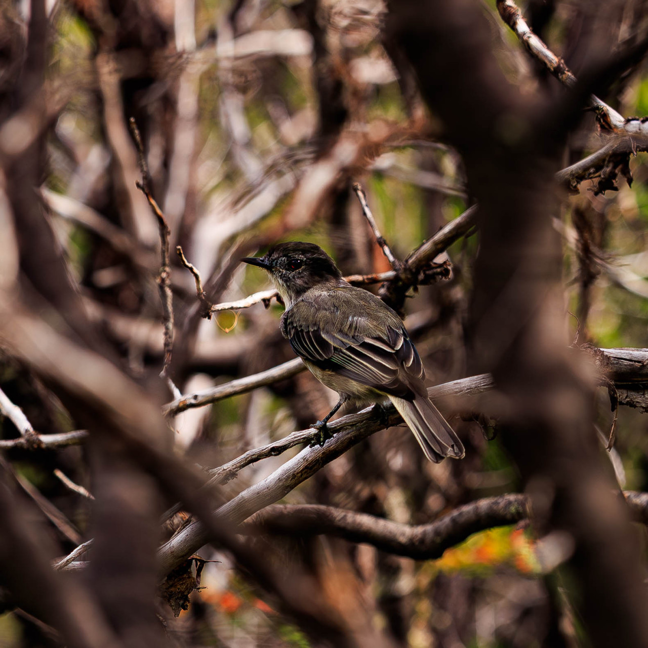 Source: http://nature-hiking.tumblr.com