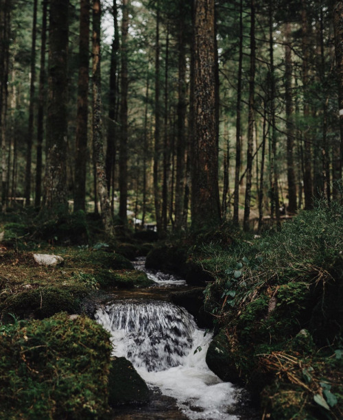 Source: http://satakentia.tumblr.com