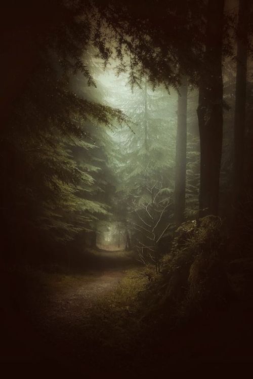 Source: http://silvaris.tumblr.com