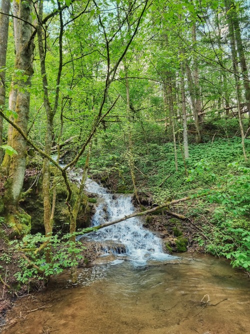 Source: http://junglerain.tumblr.com