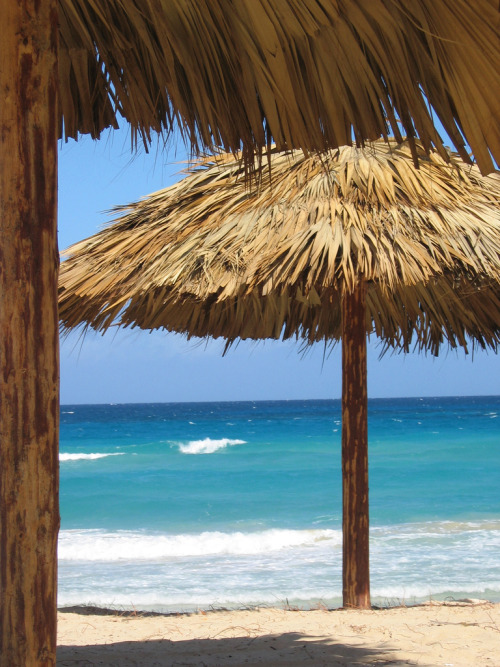 Source: http://tropic-havens.tumblr.com