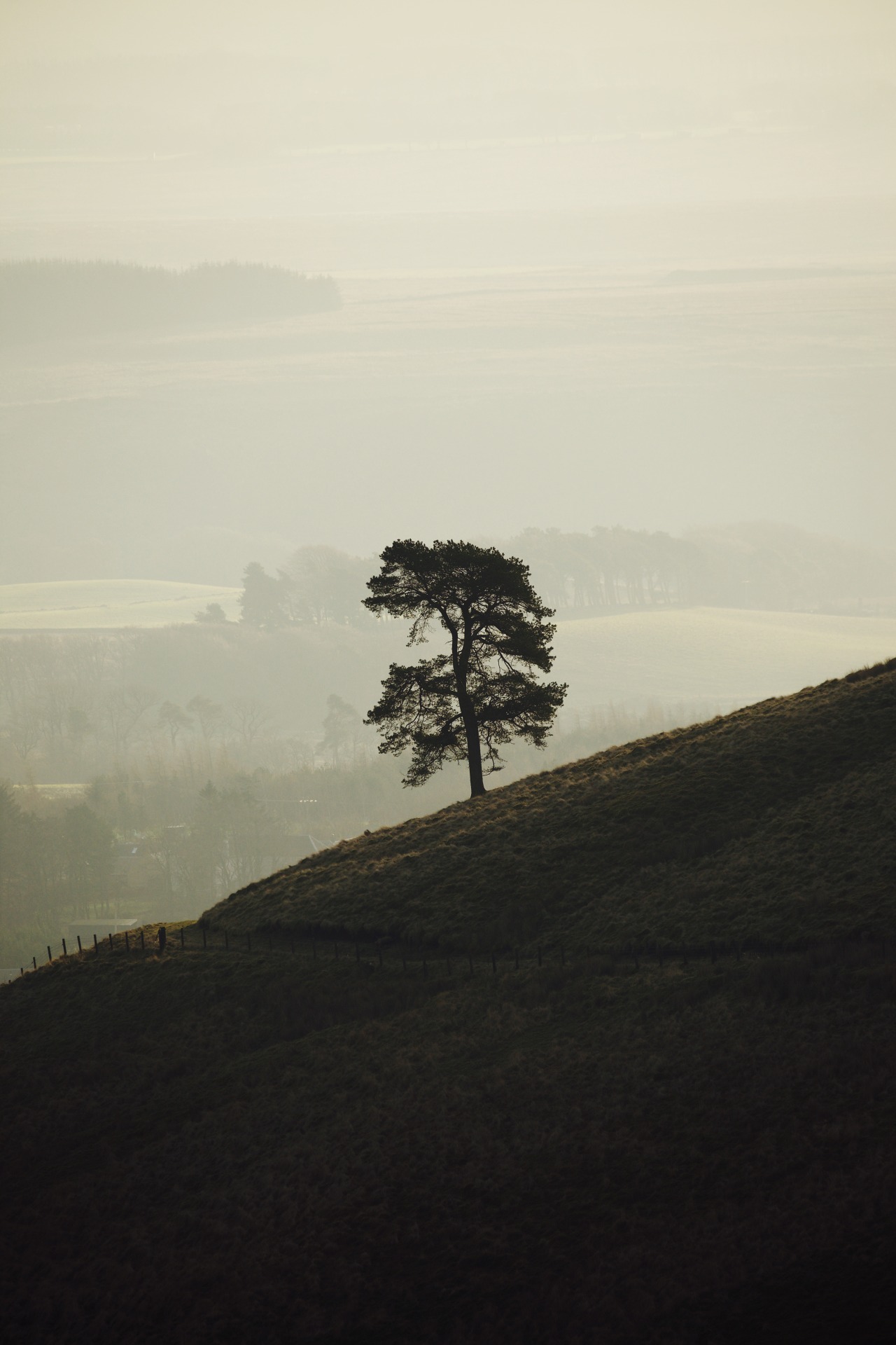 Source: http://kylebonallo.tumblr.com