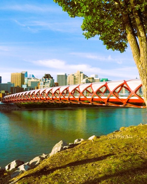 Source: http://famousinuniverse.tumblr.com