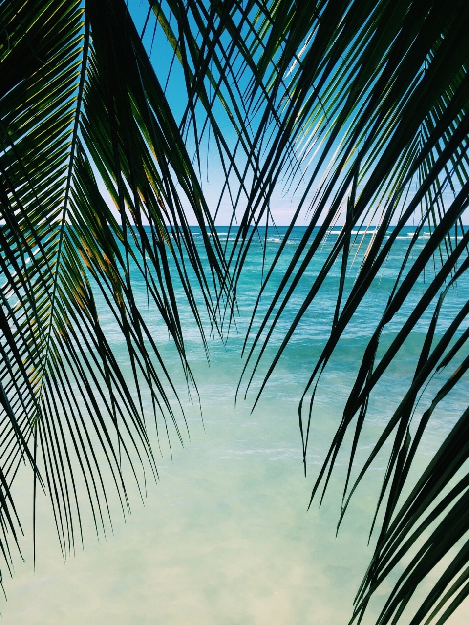 Source: http://tropic-havens.tumblr.com